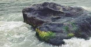 The state is extremely narrow, lenient and biased in matters of culture and heritage