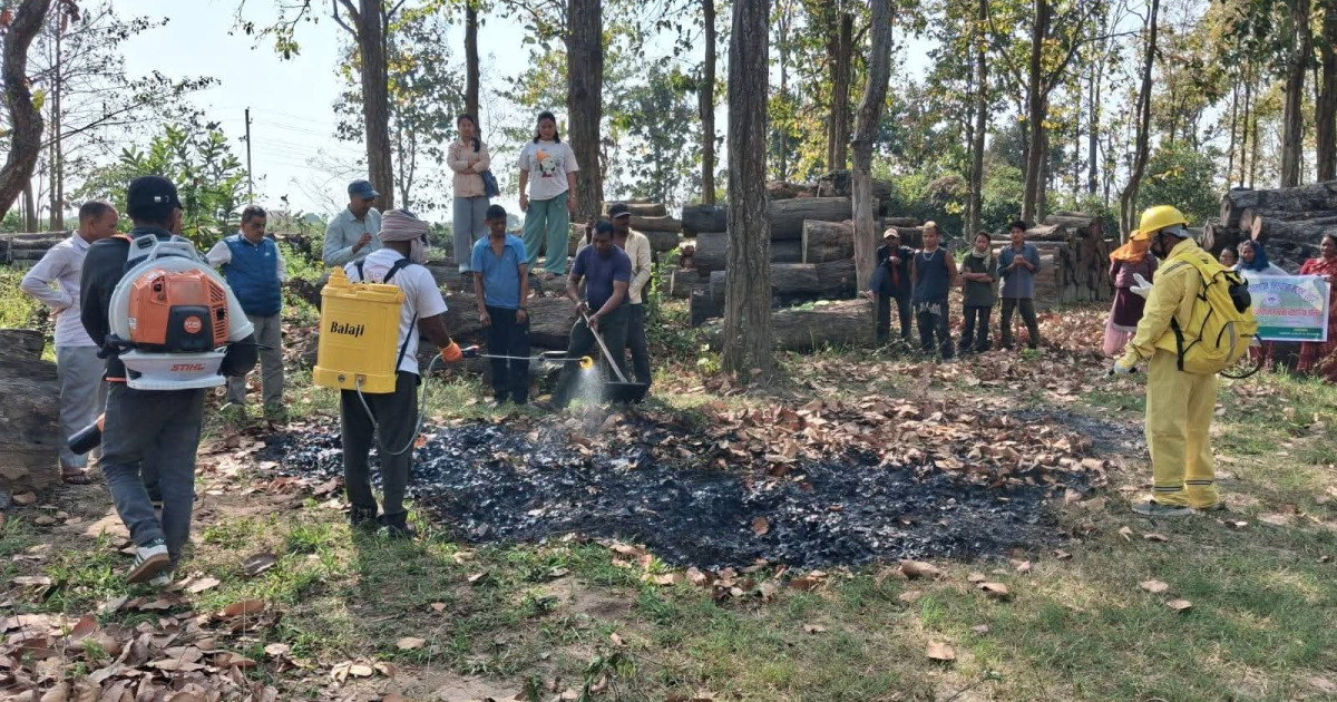 वन डढेलो व्यवस्थापन सम्बन्धी व्यवहारिक तालिम हुँदै