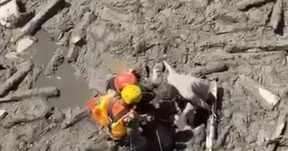 भोटेकोशी बाढीले नुवाकोट र रसुवामा ९६७ घर बगेको रेडक्रसकाे प्रारम्भिक विवरण